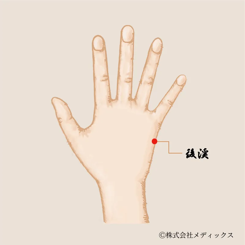 【後渓】精神の安定と頭痛改善に効果的なツボ