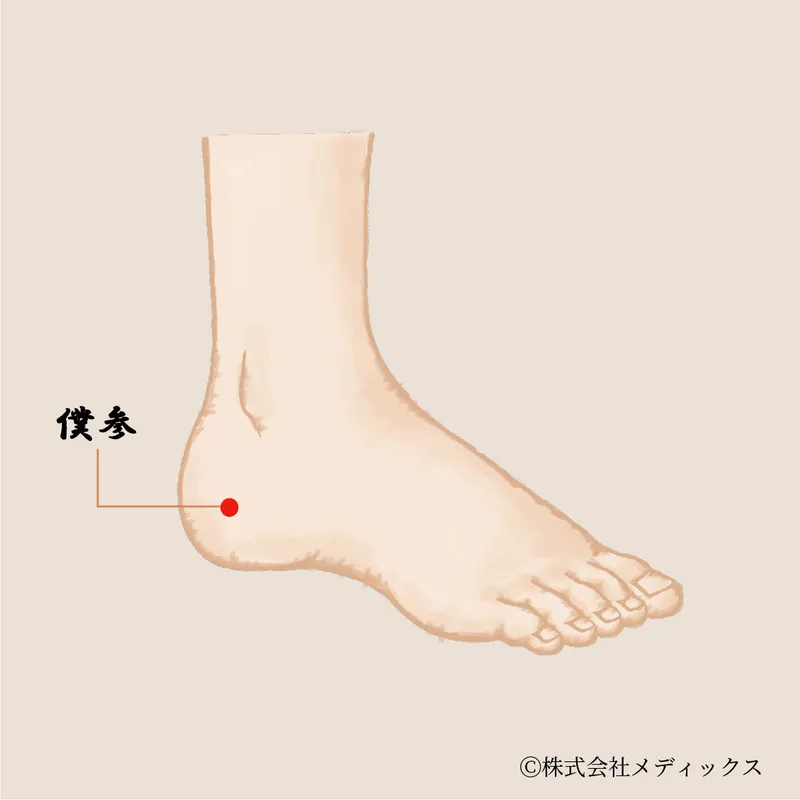 【僕参】足首から全身を整える、冷えと痛みの調整ツボ