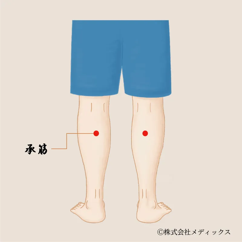 【承筋】ふくらはぎの張りと足の疲れをほぐす要のツボ