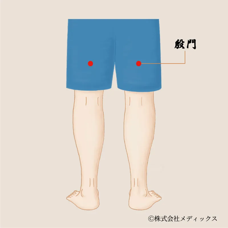 【殷門】坐骨神経と腰の痛みに働きかける太ももの要ツボ