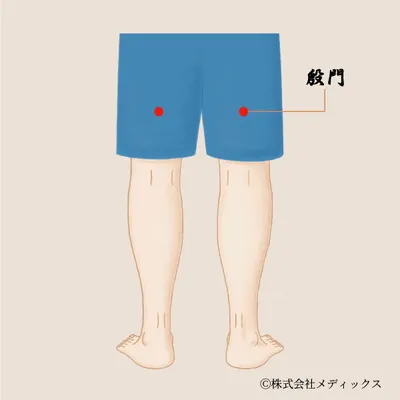 【殷門】坐骨神経と腰の痛みに働きかける太ももの要ツボ