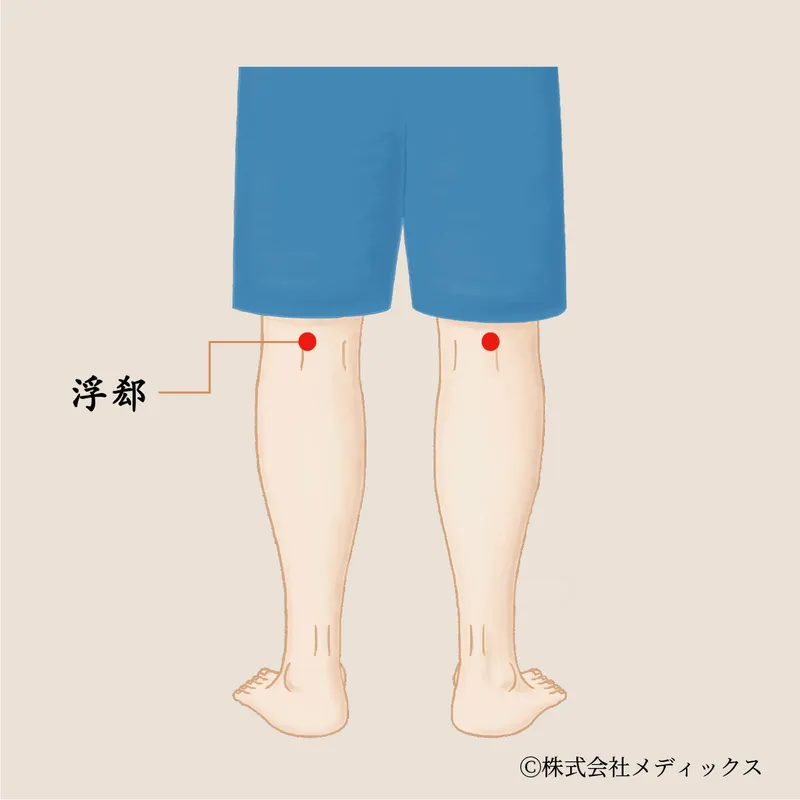 【浮郄】坐骨神経と腰痛を支える深層の調整ツボ
