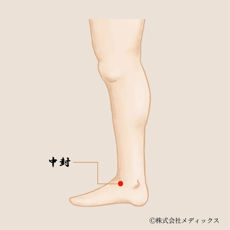 【中封】肝経の気を整える重要なツボ
