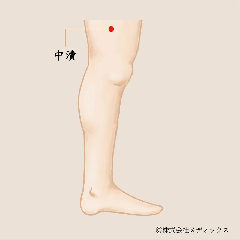 【中瀆】太もも外側の張りをほぐす巡りのツボ