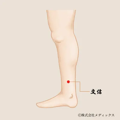 【交信】女性の不調や下半身の冷えに働きかける、内側から整えるツボ