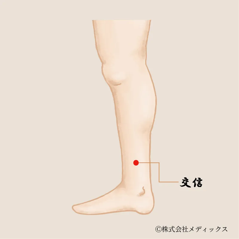 【交信】女性の不調や下半身の冷えに働きかける、内側から整えるツボ