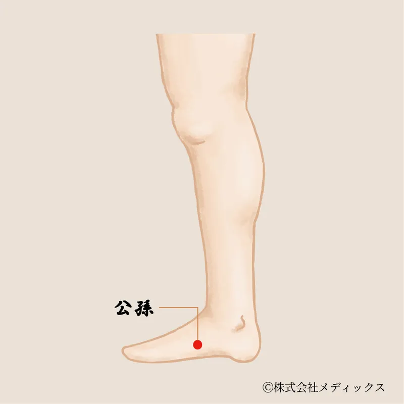 【公孫】胃腸の調子を整え、ストレスを和らげる重要なツボ