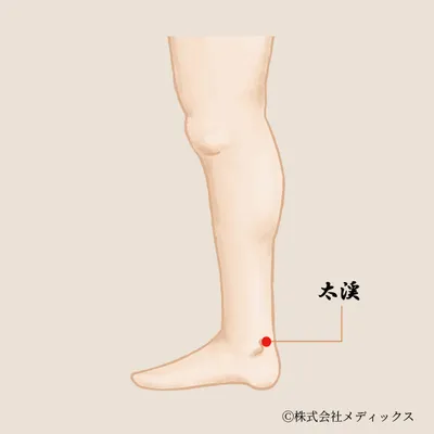 【太渓】耳・喉・生殖器の不調を整える重要なツボ
