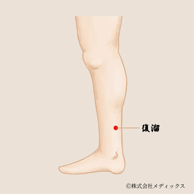 【復溜】腎の精を補う滋養強壮のツボ