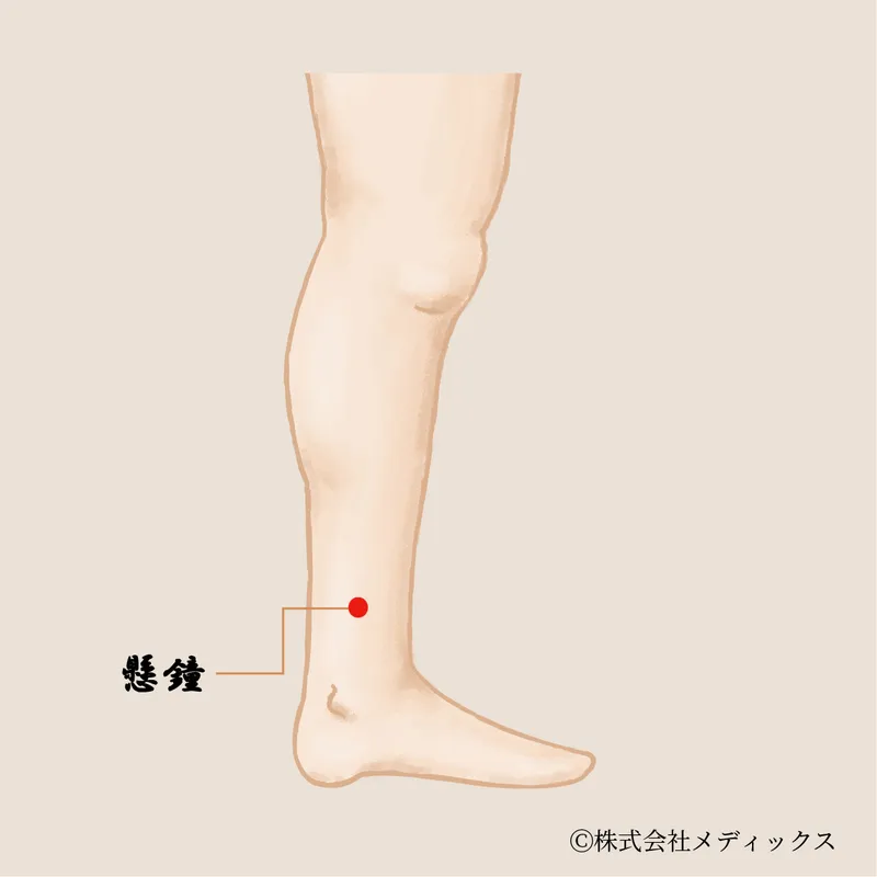 【懸鐘】下半身の巡りと骨の強さに働きかける胆経のツボ