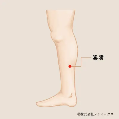 【築賓】脚の疲れと下半身の冷えに効く、エネルギーの通り道を築くツボ