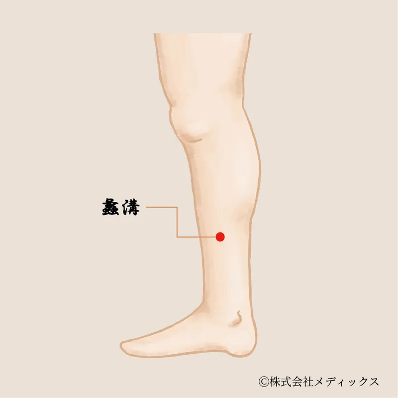 【蠡溝】生理痛や下半身の不調を改善する重要なツボ