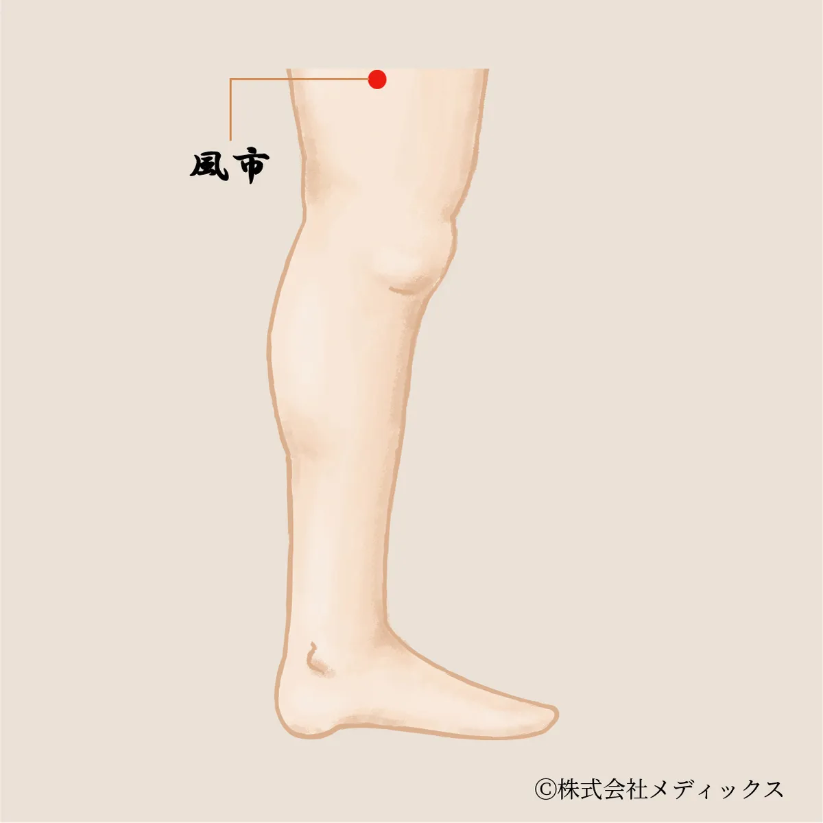 【風市】下半身の巡りとバランスを司る風のツボ