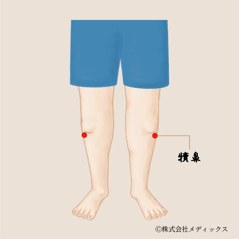 【犢鼻】膝周りの痛みを和らげ、足の不調を改善する重要なツボ