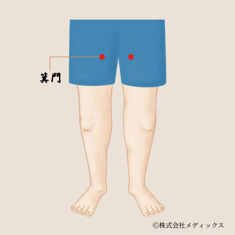 【箕門】太もものむくみや痛みを和らげる重要なツボ