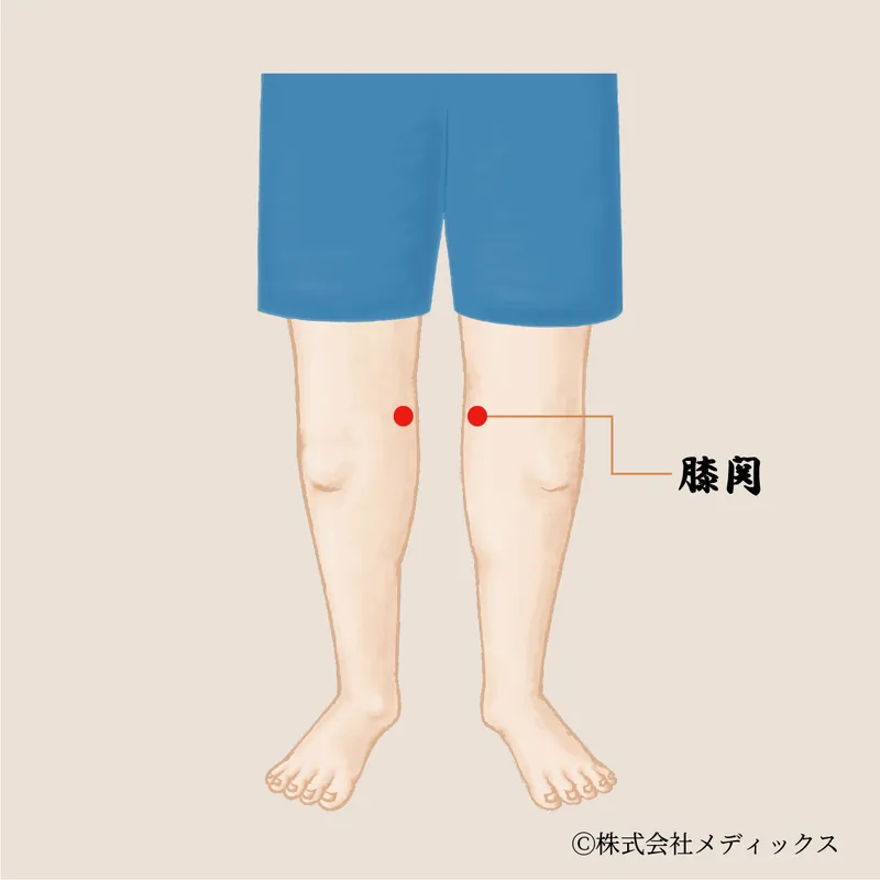 【膝関】膝の外側をゆるめて巡りを促すサポートツボ