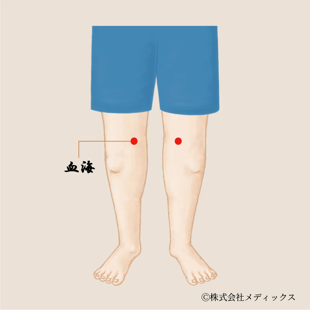 【血海】血の流れを調整する重要なツボ
