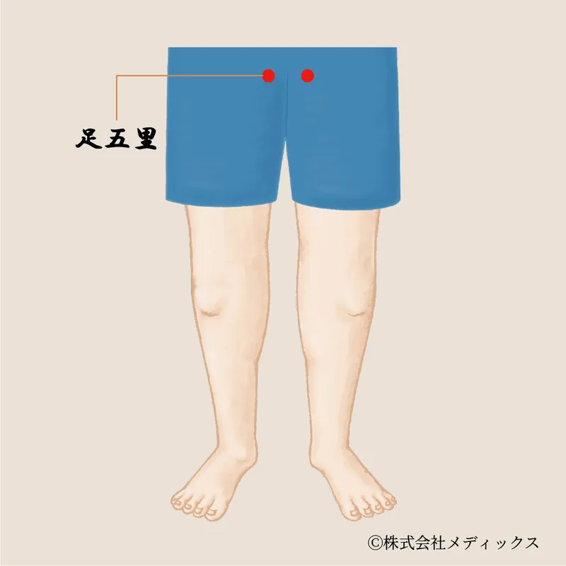  【足五里】内ももと骨盤内をゆるめる巡りのツボ