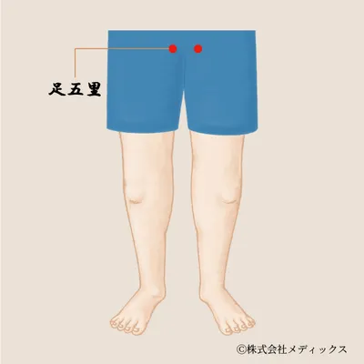  【足五里】内ももと骨盤内をゆるめる巡りのツボ