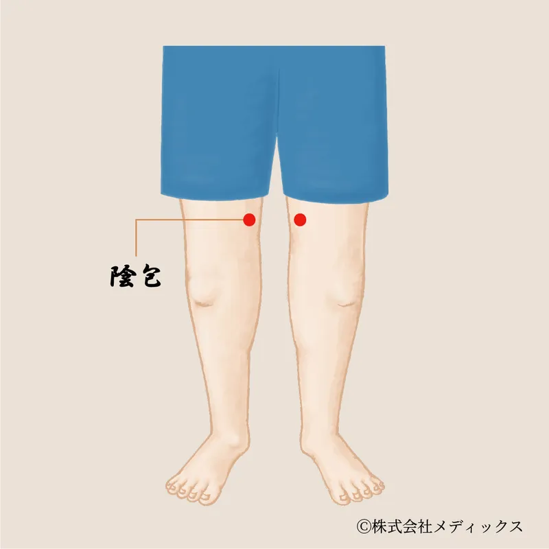 【陰包】内ももの緊張をほどく深層のツボ