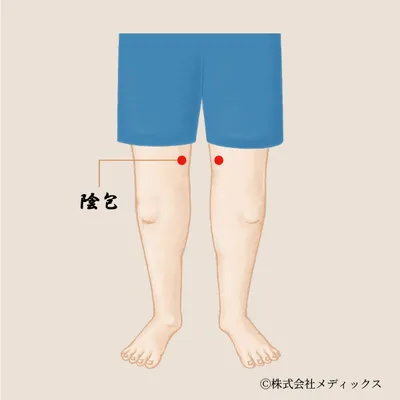 【陰包】内ももの緊張をほどく深層のツボ