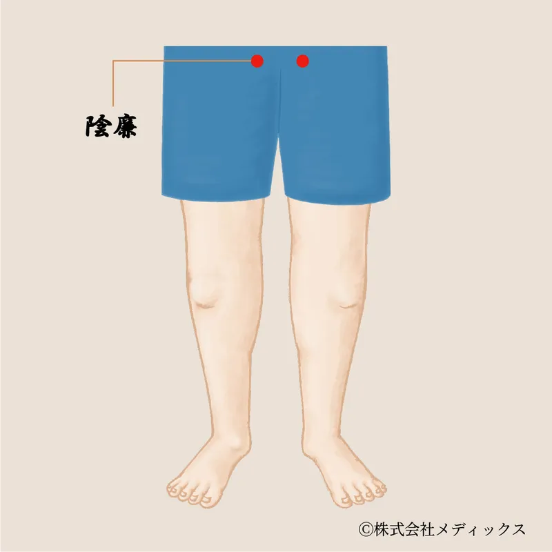 【陰廉】骨盤まわりの巡りと安定を支える内側のツボ