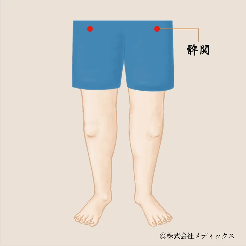 【髀関】膝・腰・下半身の不調を改善する重要なツボ