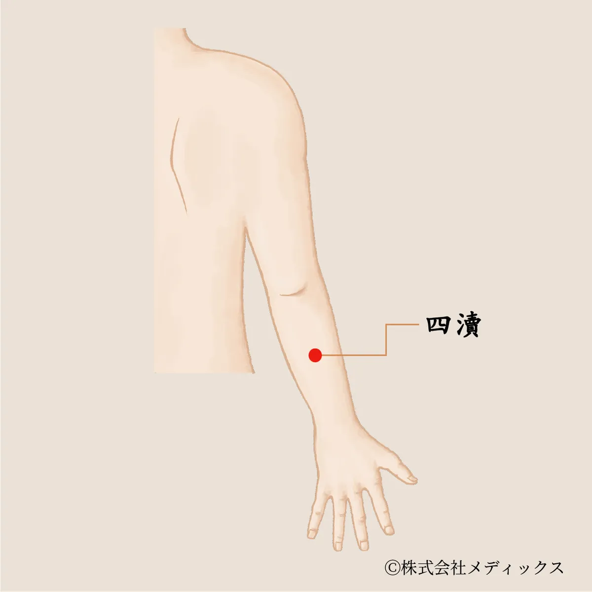 【四瀆】気の滞りを流し去る腕の巡りのツボ