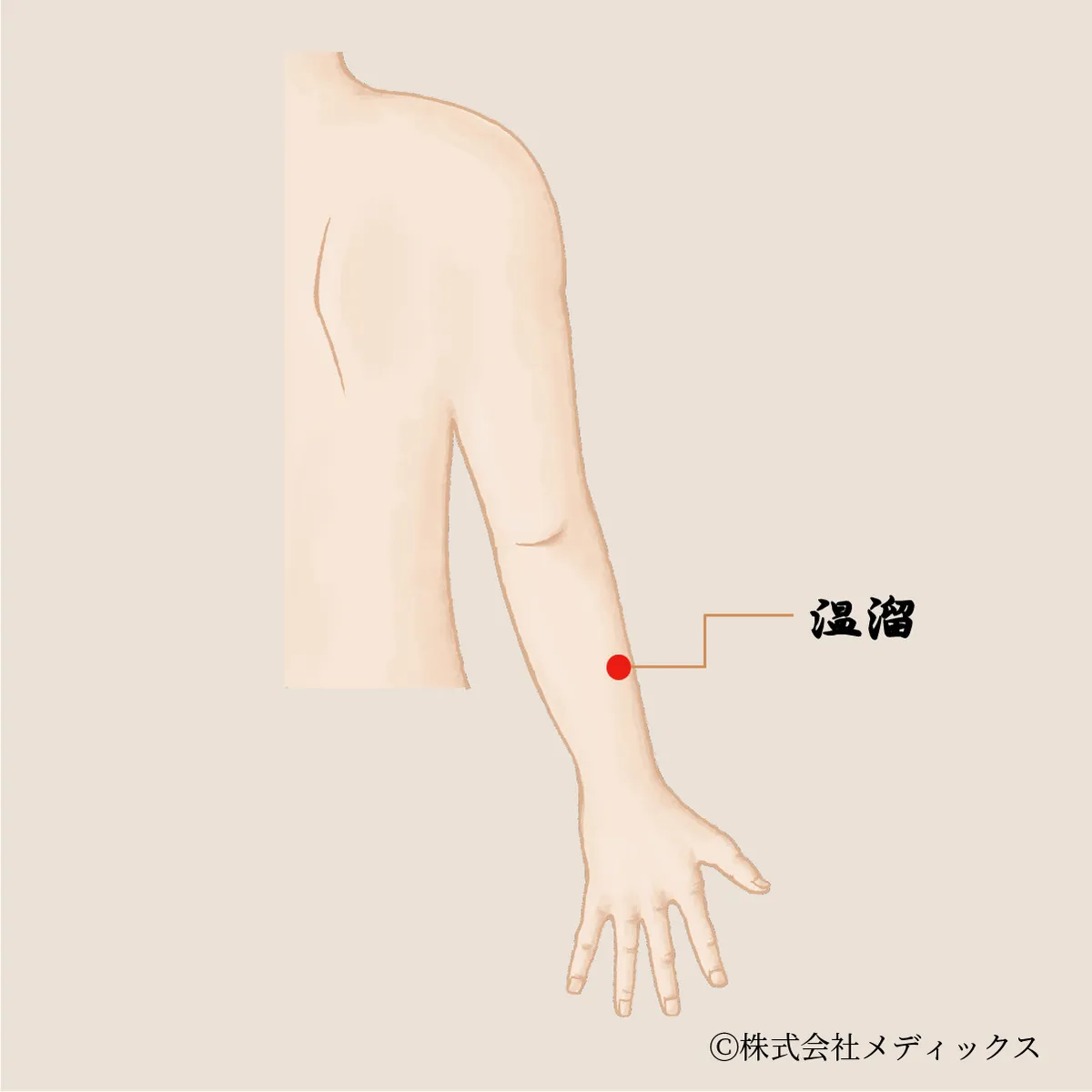 【温溜】痛みを和らげ、急性症状に効く腕のツボ