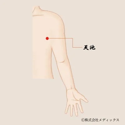 【天池】胸の緊張と肩こりをゆるめる、気の循環を整えるツボ