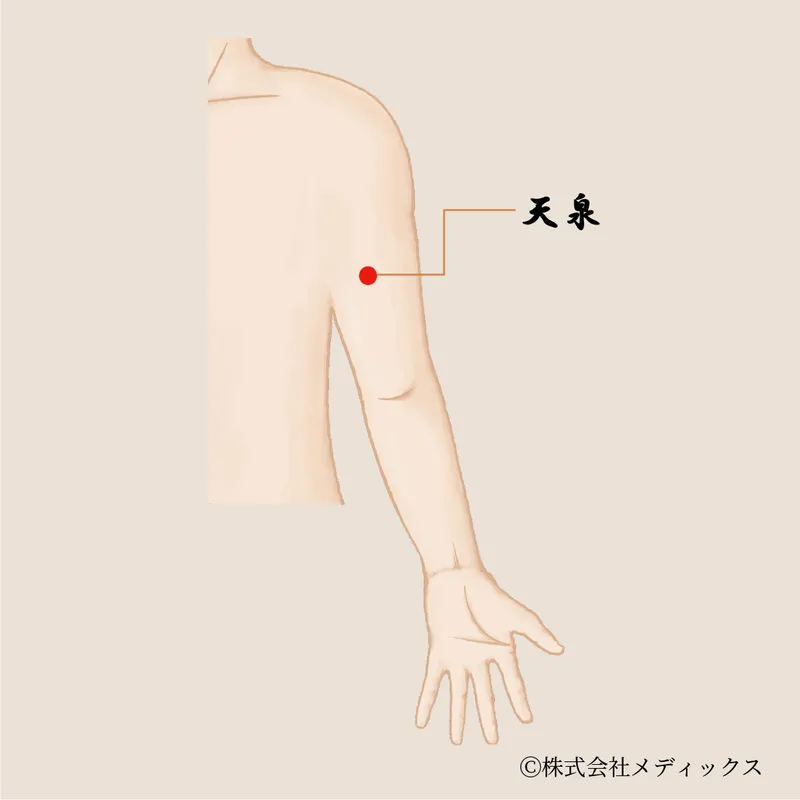 【天泉】肩・腕・心をゆるめる、上半身を癒す穏やかなツボ