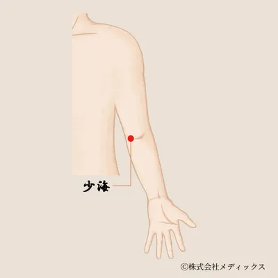 【少海】肘の痛みとストレス緩和に効果的なツボ