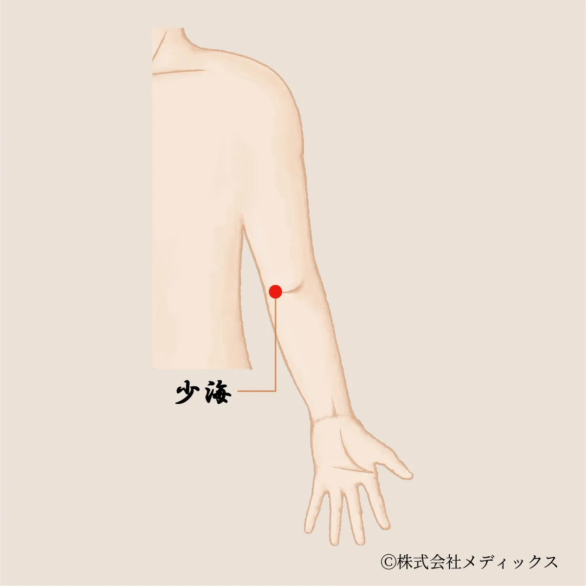 【少海】肘のこわばりや関節痛を和らげるツボ