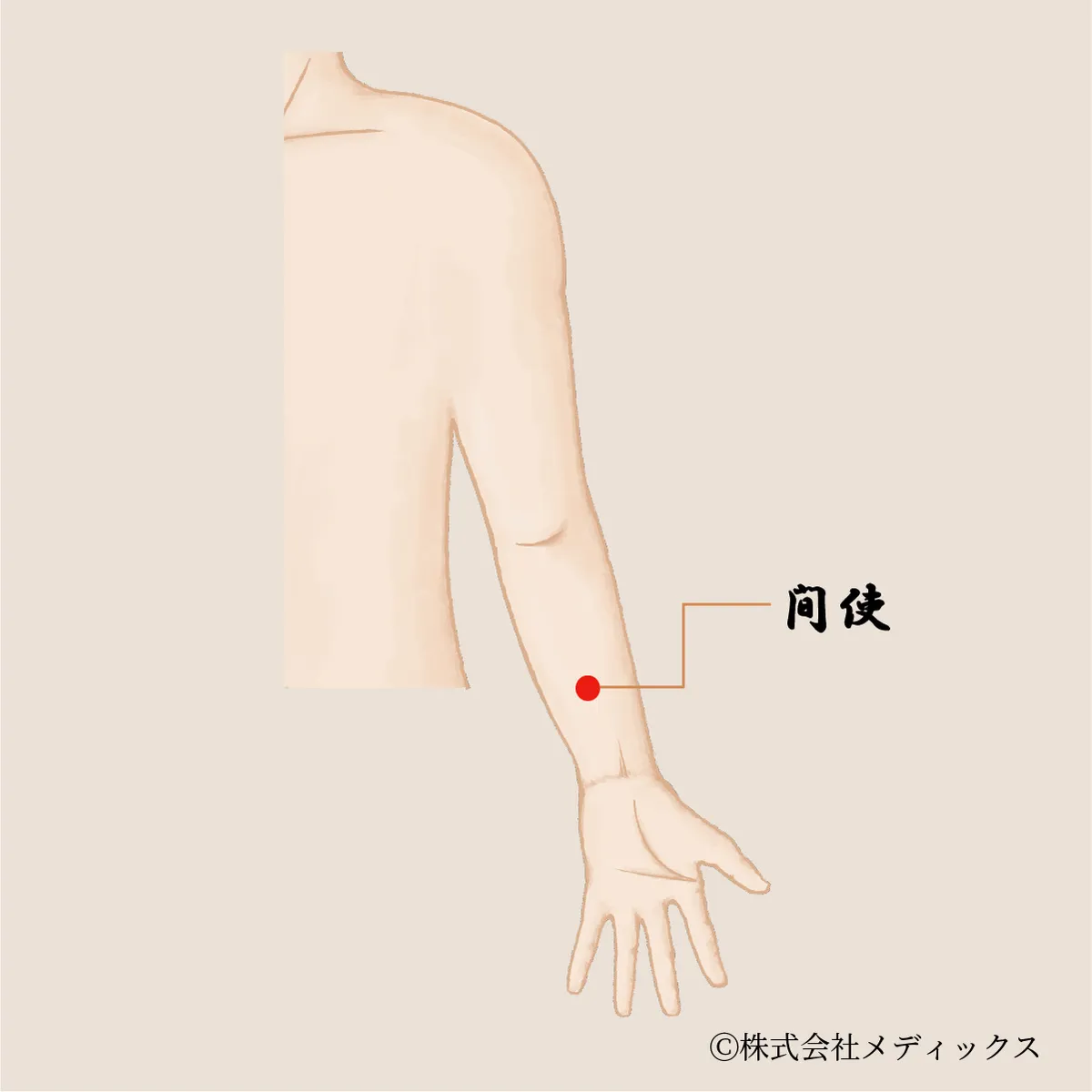 【間使】心と腸の不調を整える重要なツボ