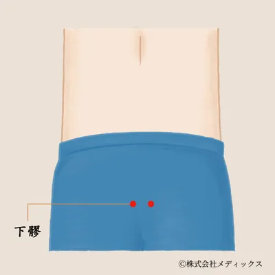 【下髎】骨盤の出口をゆるめ、巡りをととのえるツボ