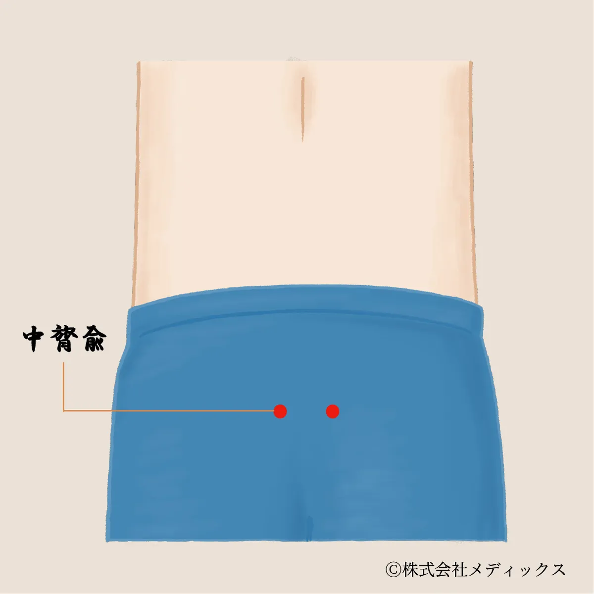 【中膂兪】腰の中心を支え、下半身の不調に応えるツボ
