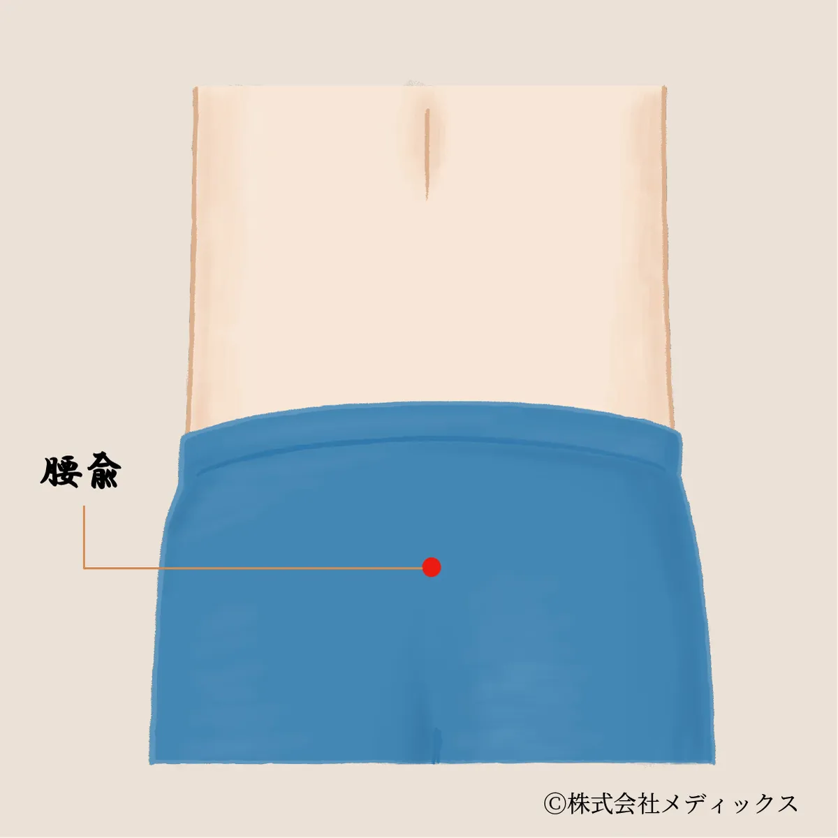 【腰兪】腰の動きと腎の力を支えるツボ