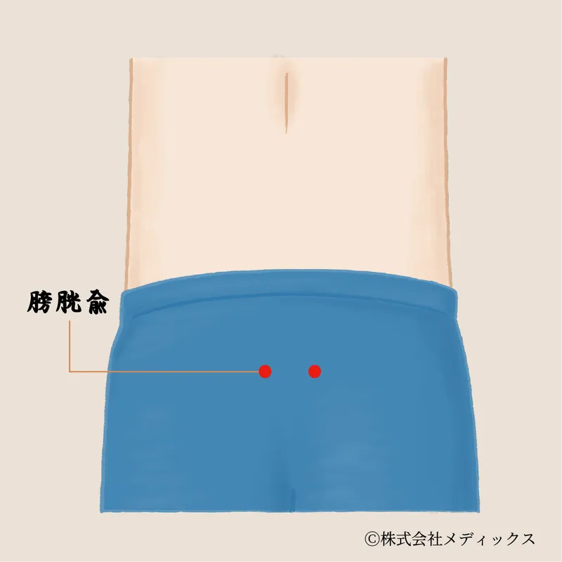【膀胱兪】腰痛や腎臓の不調を改善する重要なツボ