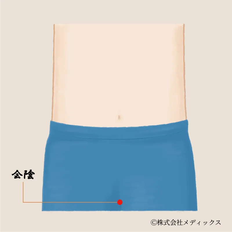 【会陰】泌尿器と骨盤のバランスを整える重要なツボ