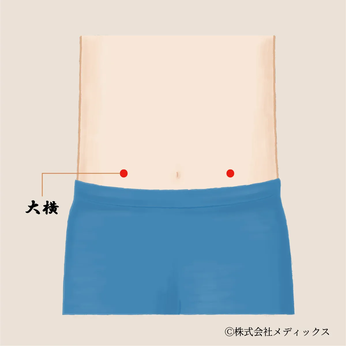 【大横】腹部の健康を支える重要なツボ