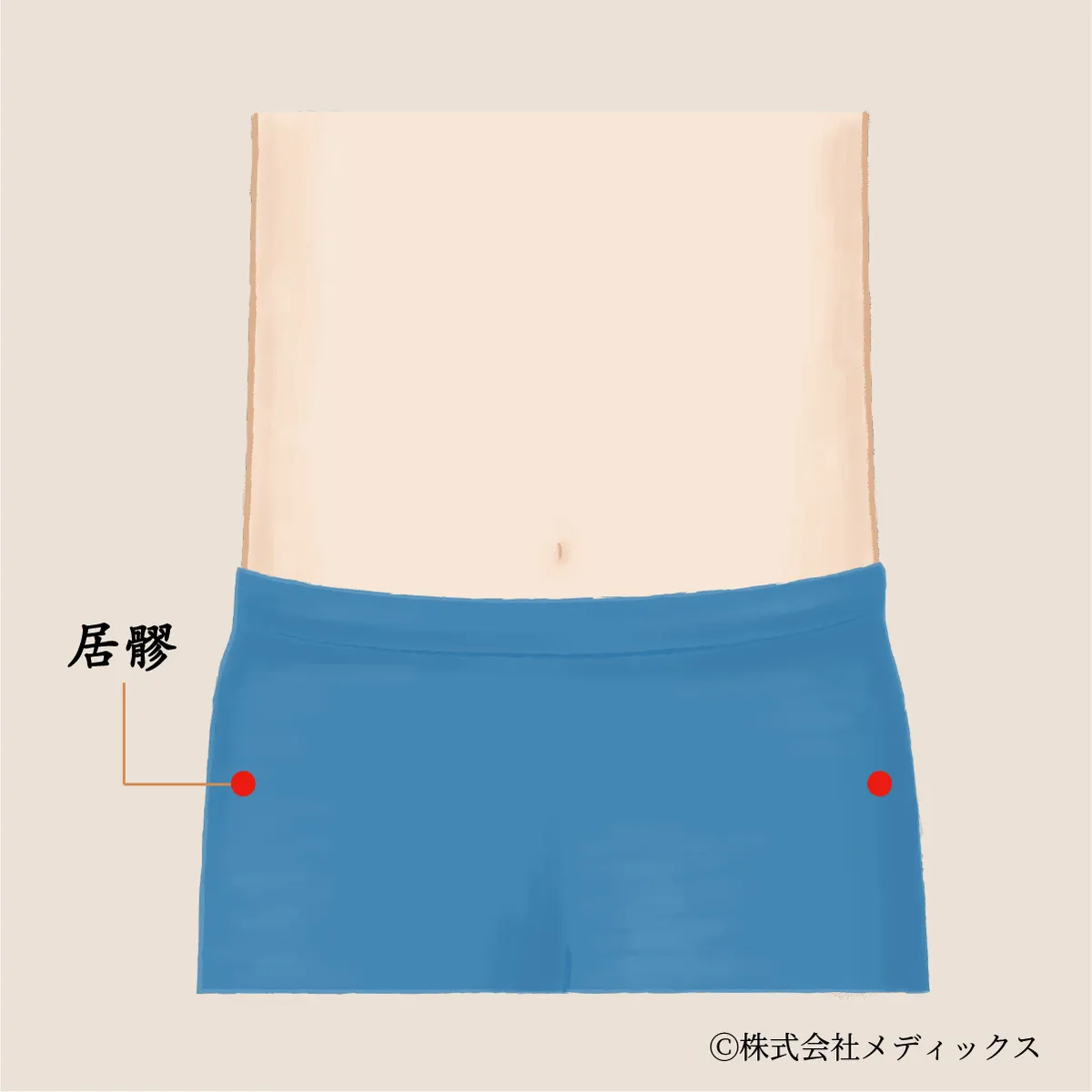 【居髎】骨盤を整え、巡りを促すツボ