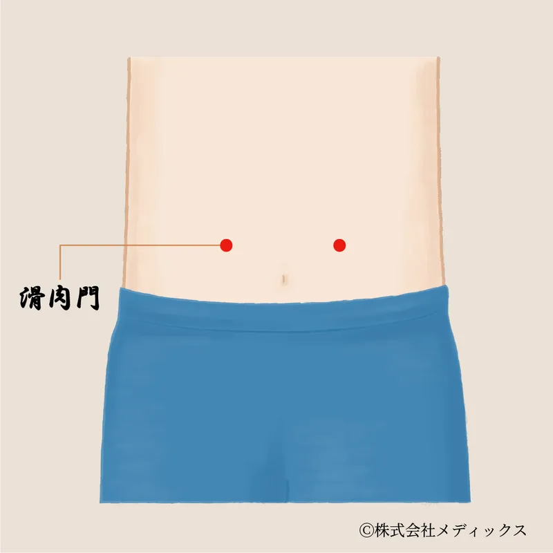 【滑肉門】腹部の消化器系を整える重要なツボ