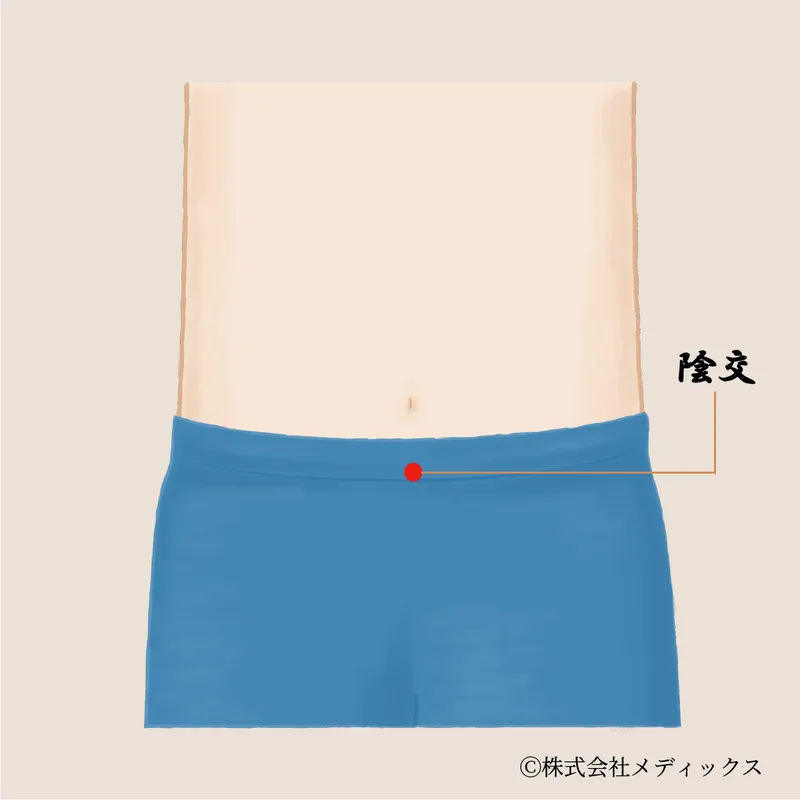 【陰交】婦人科系と泌尿器の巡りを整える下腹部のツボ