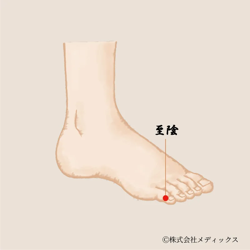 【至陰】女性の健康を支える重要なツボ