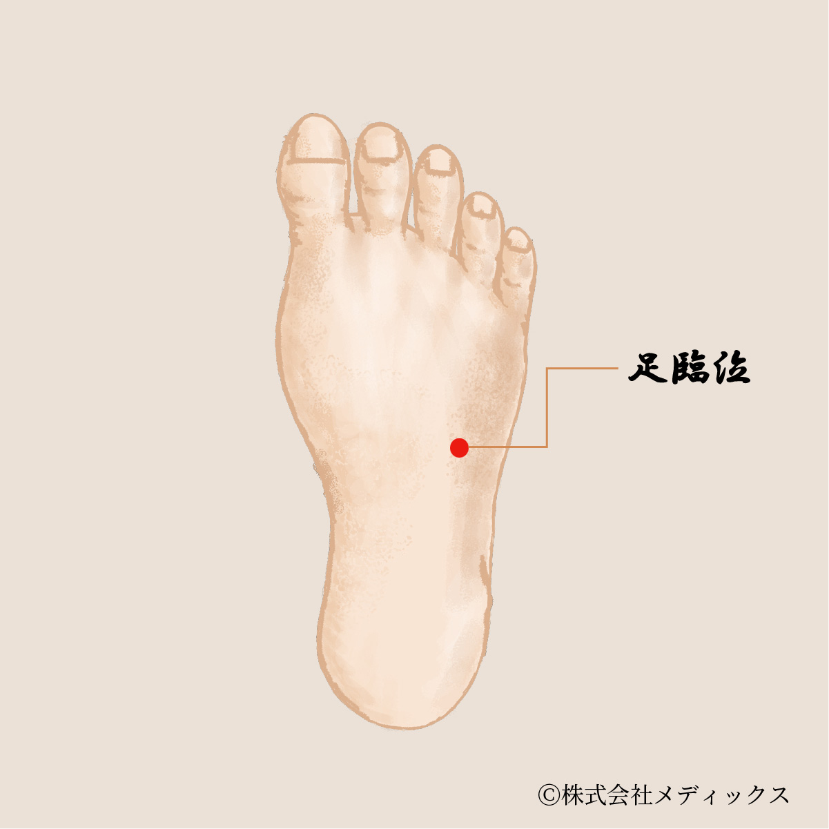 足 の 甲 ツボ