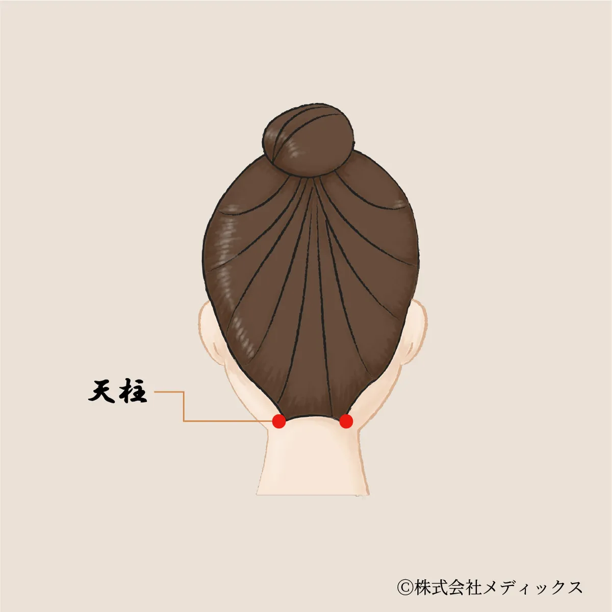 【天柱】首こり・頭痛・眼精疲労に効く万能ツボ