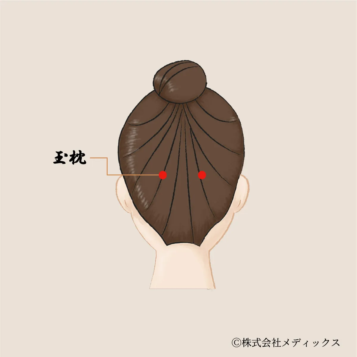 【玉枕】首のこりや後頭部の重だるさに働きかけるツボ