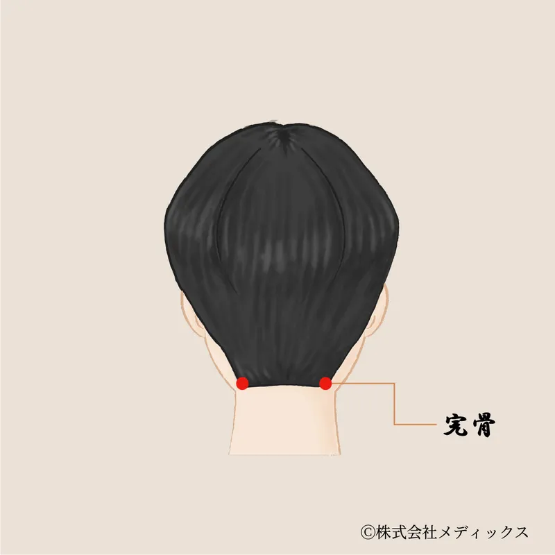 【完骨】頭と首の境目を整える後頭部のツボ