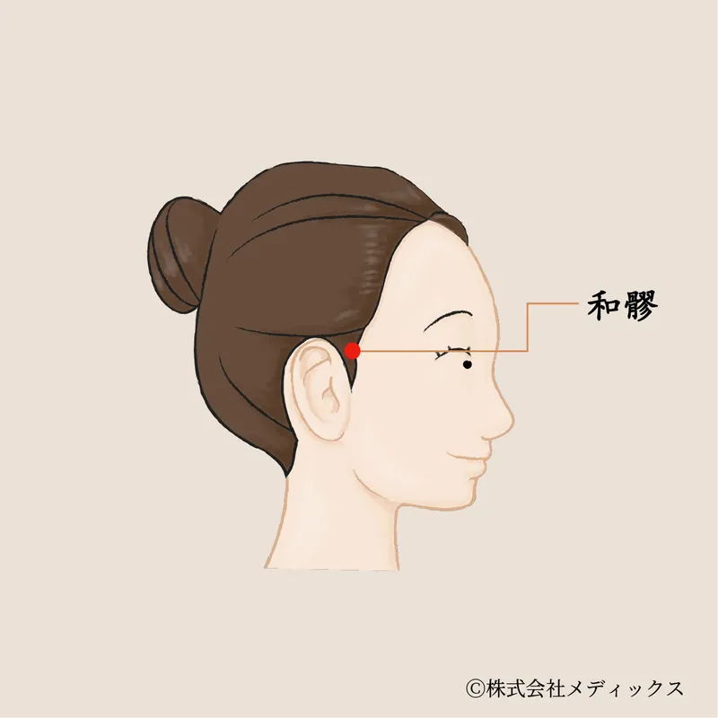 【和髎】側頭の巡りを整え頭痛や目の疲れを癒すツボ