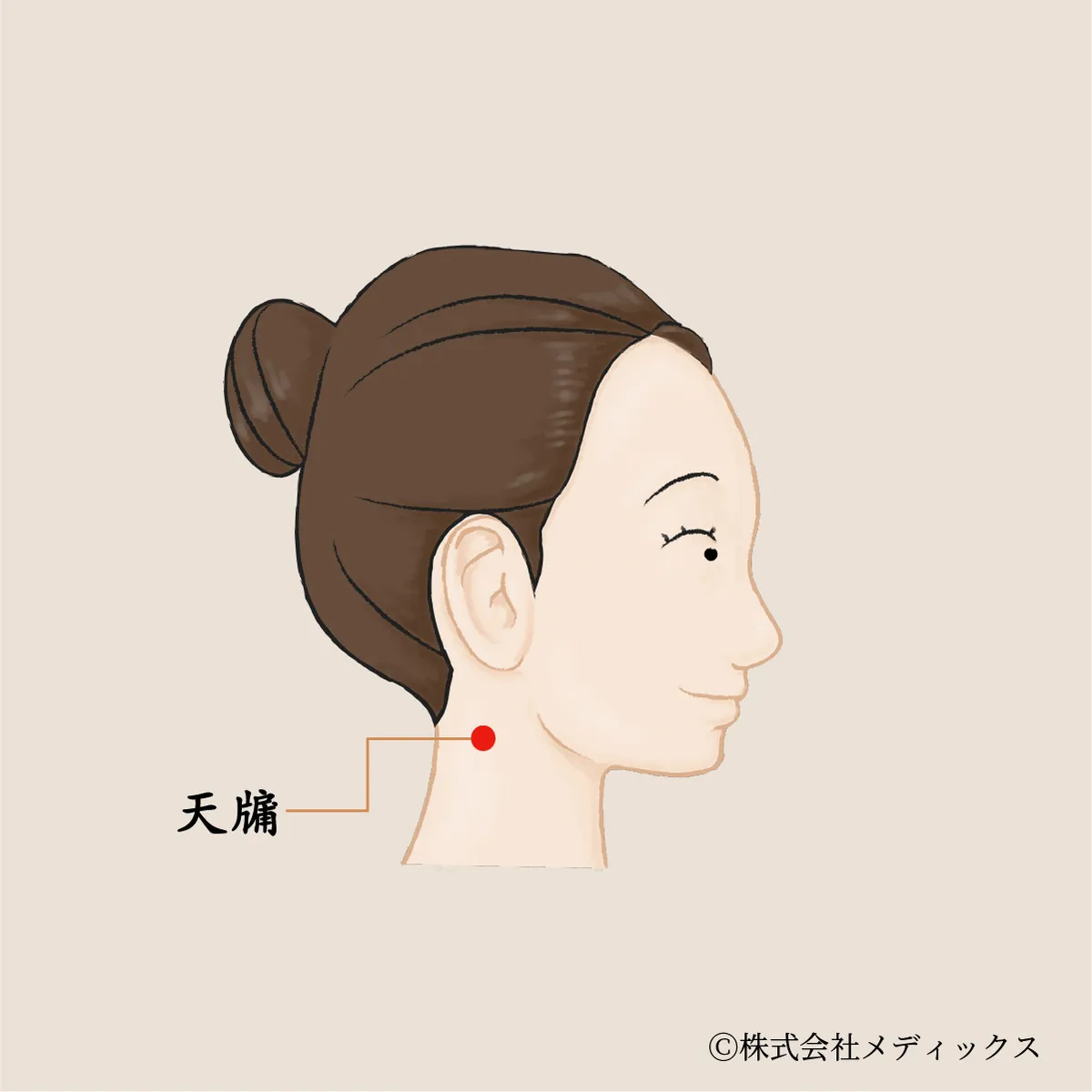【天牖】気血の通り道をひらく首すじのツボ